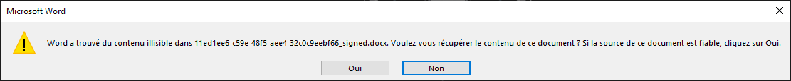 word file